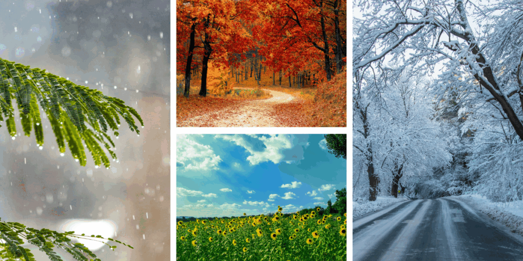 Ultimate Travel Guide to India 2026